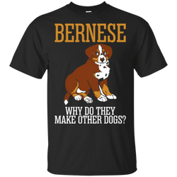 Bernese Why Do They Make Other Dogs