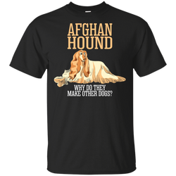 Afghan Hound Why Do They Make Other Dogs